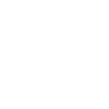 Financial Security impact area icon.